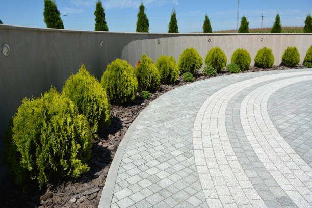 Best Driveway Pavers Near Me  in Murraysville, NC